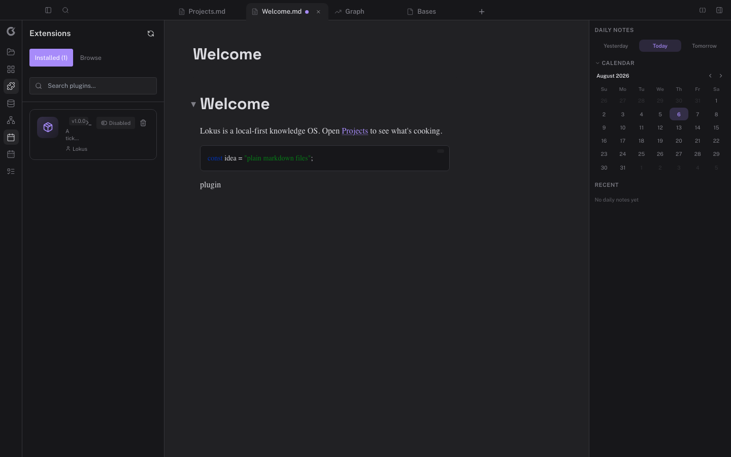 The Extensions view with an installed plugin