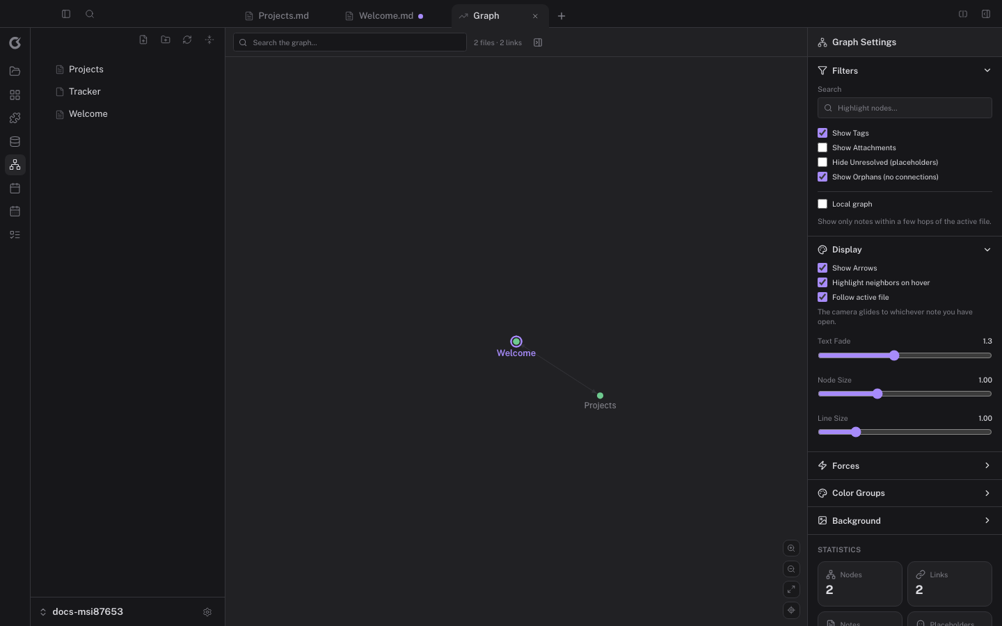 The force-directed graph view